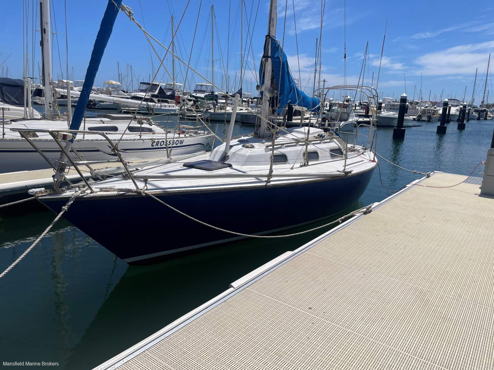 Peterson 30