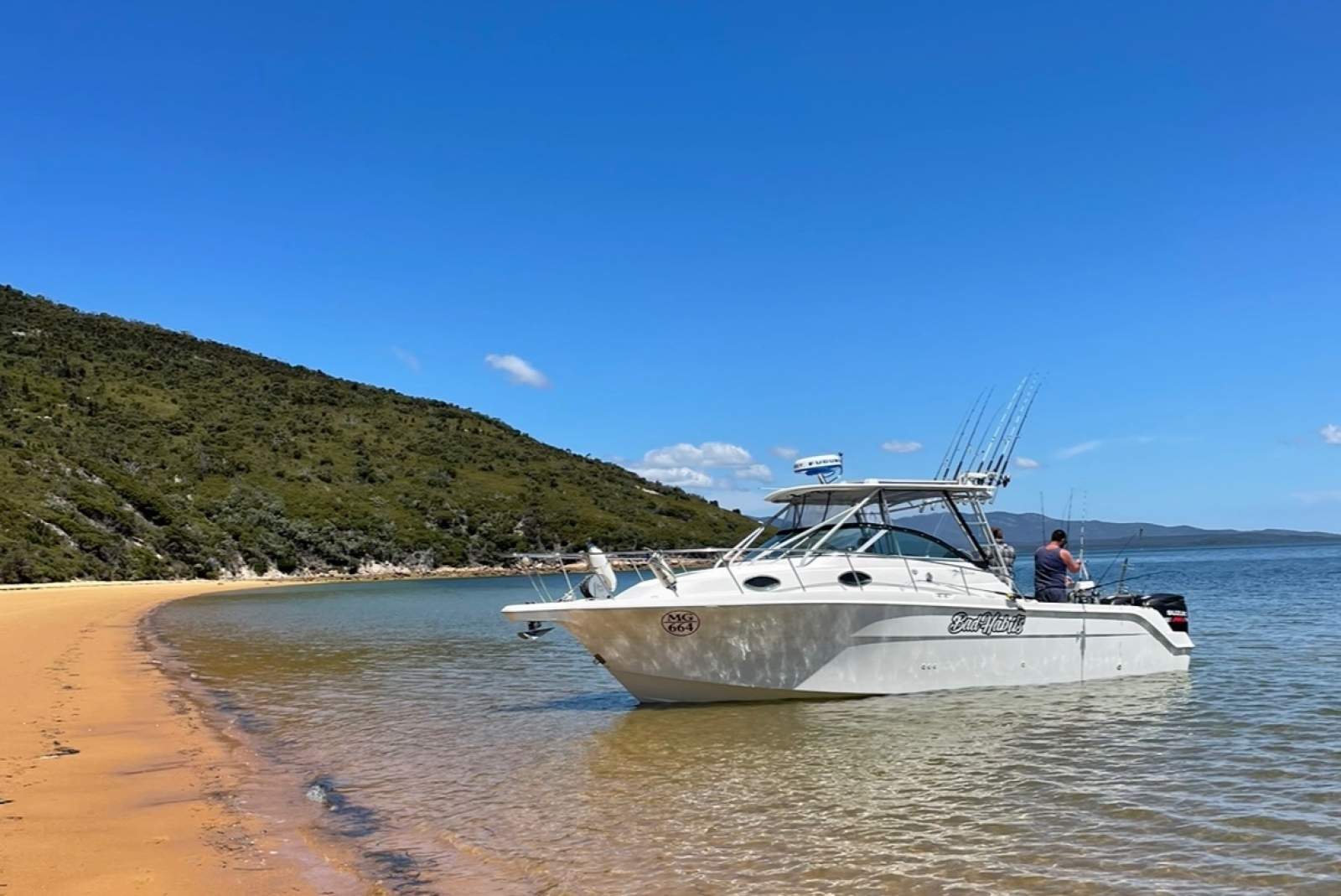 Wellcraft 290 Coastal