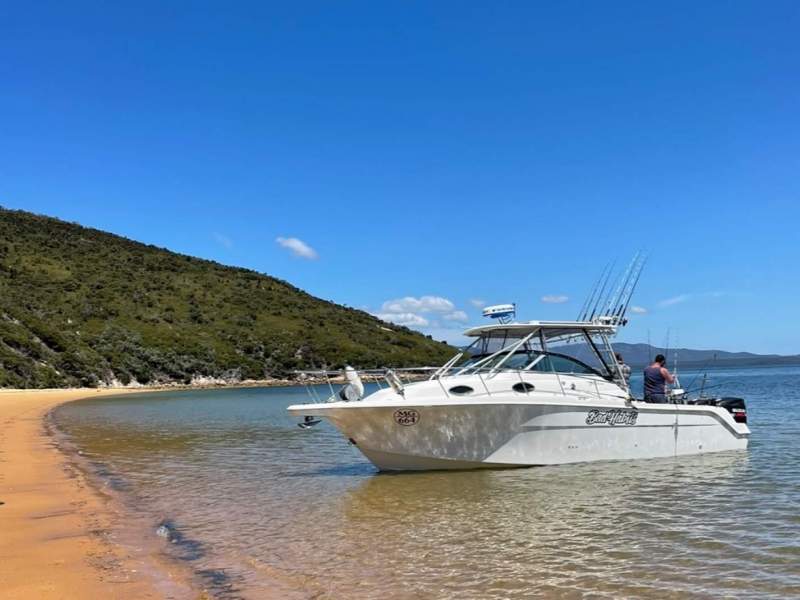 Wellcraft 290 Coastal