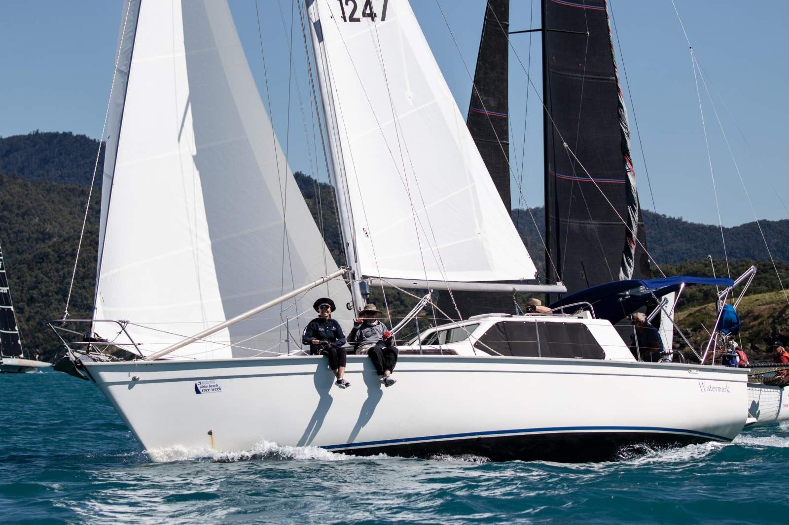 Zeston 36