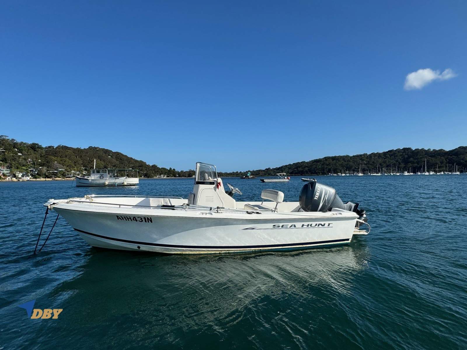 Sea Hunt Triton 202