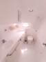 Spirited 380 Catamaran:Separate toilet/shower
