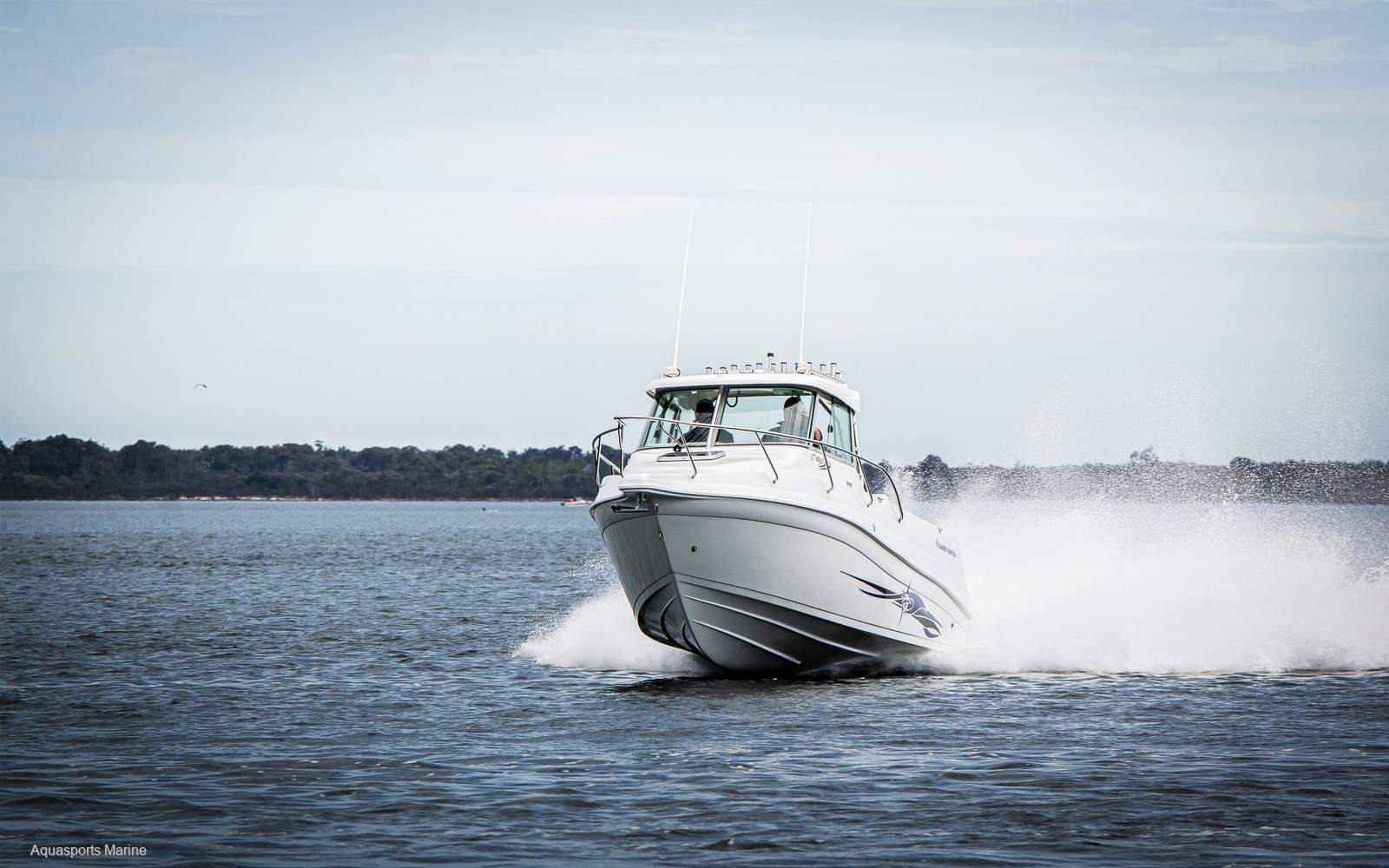 New Haines Hunter 760 Enclosed