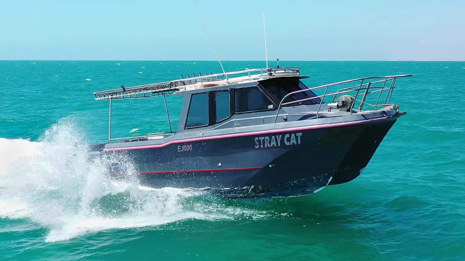 Cougar Cat 8.5