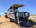Cougar Cat 8.5