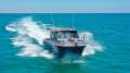 Cougar Cat 8.5
