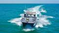 Cougar Cat 8.5