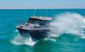 Cougar Cat 8.5