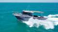Cougar Cat 8.5
