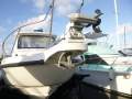 Boston Whaler 260 Conquest