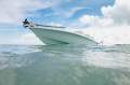 New Contender 26 Bay