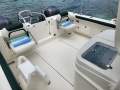 World Cat 320CC