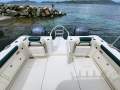 World Cat 320CC
