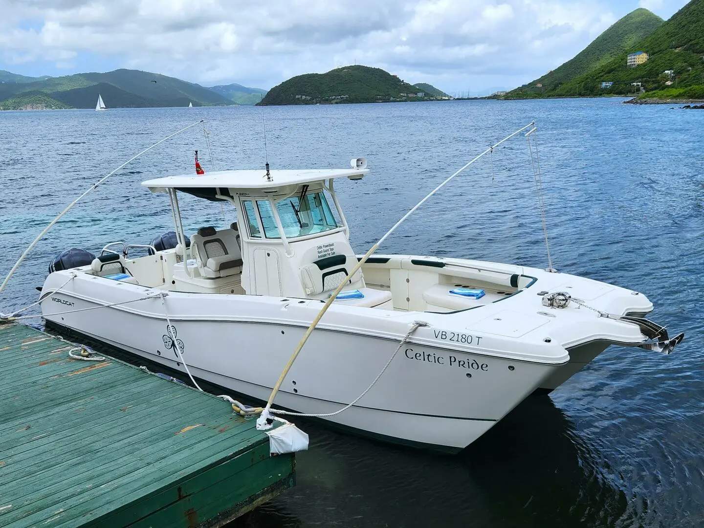 World Cat 320CC