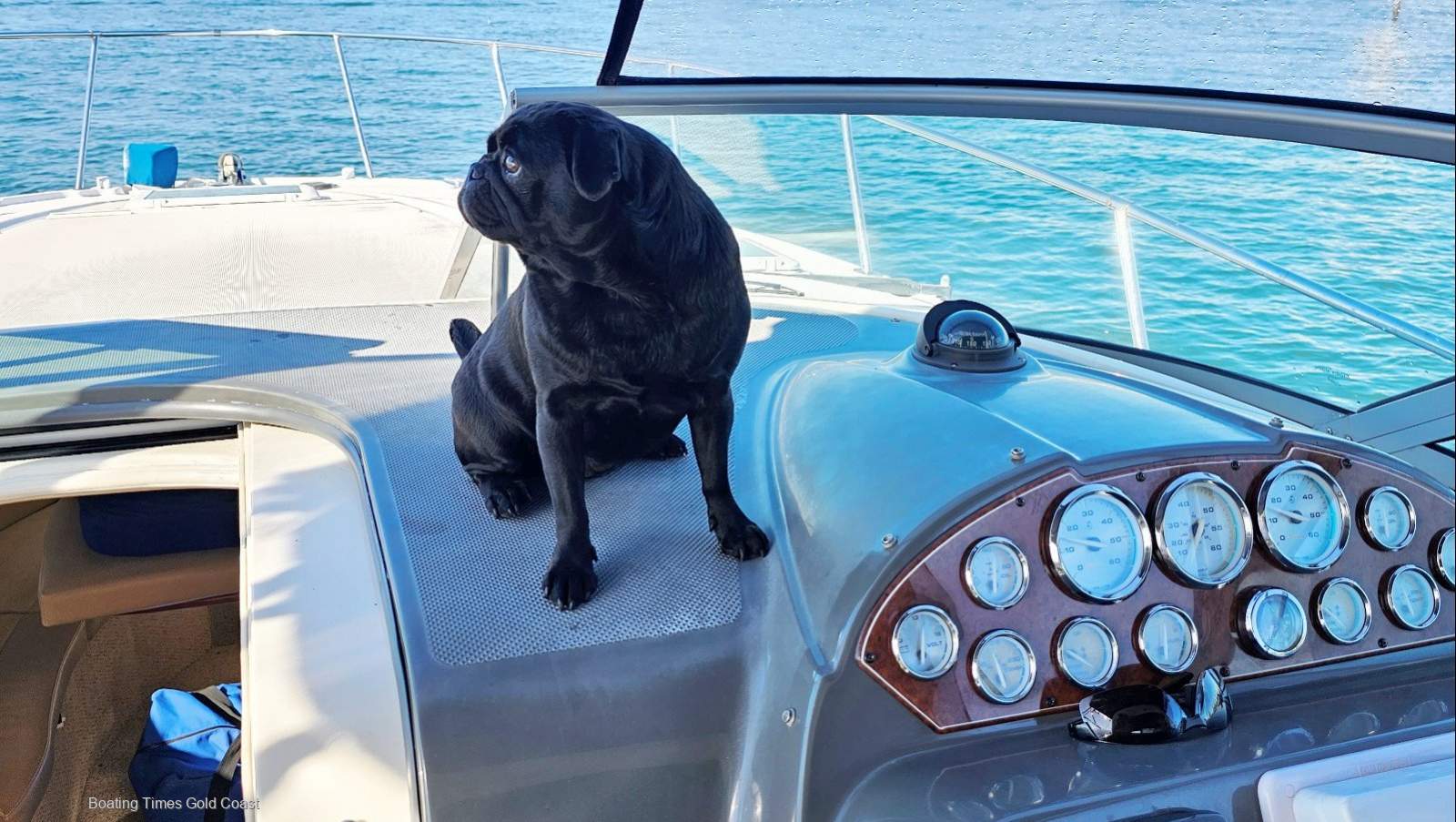 Bayliner 325 Cruiser for sale