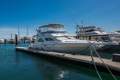 Sea Ray 440 Express Bridge