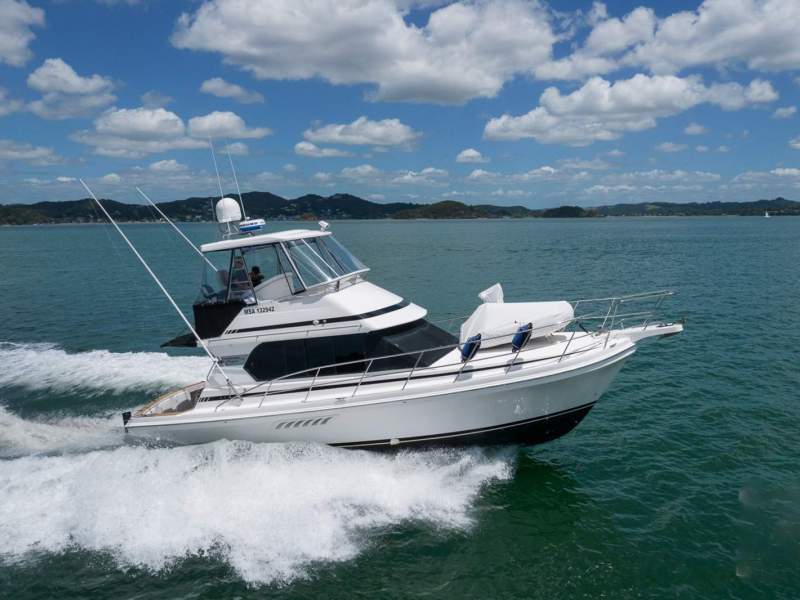 Capricorn Classic 38