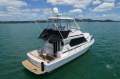 Capricorn Classic 38