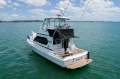 Capricorn Classic 38