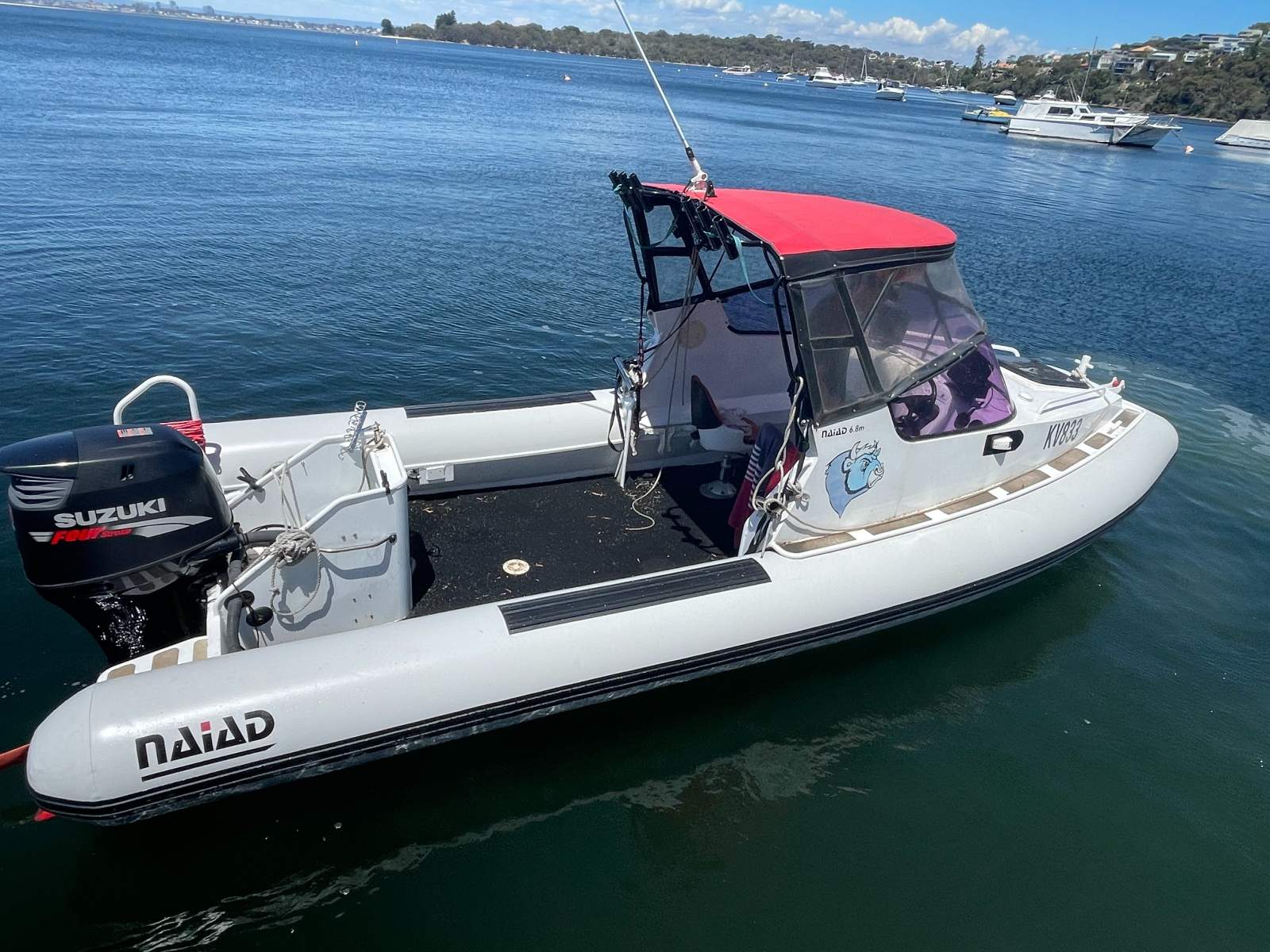 Naiad 6.8 RIB