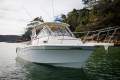 Grady-White Marlin 300