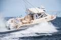 Grady-White Marlin 300