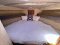 Bertram Caribbean 35:BIG cozy fwd cabin