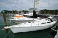 Beale 11.2 Performance Cruiser