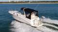 Sea Ray 315 Sundancer
