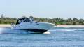 Sea Ray 315 Sundancer