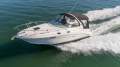 Sea Ray 315 Sundancer