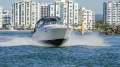 Sea Ray 315 Sundancer
