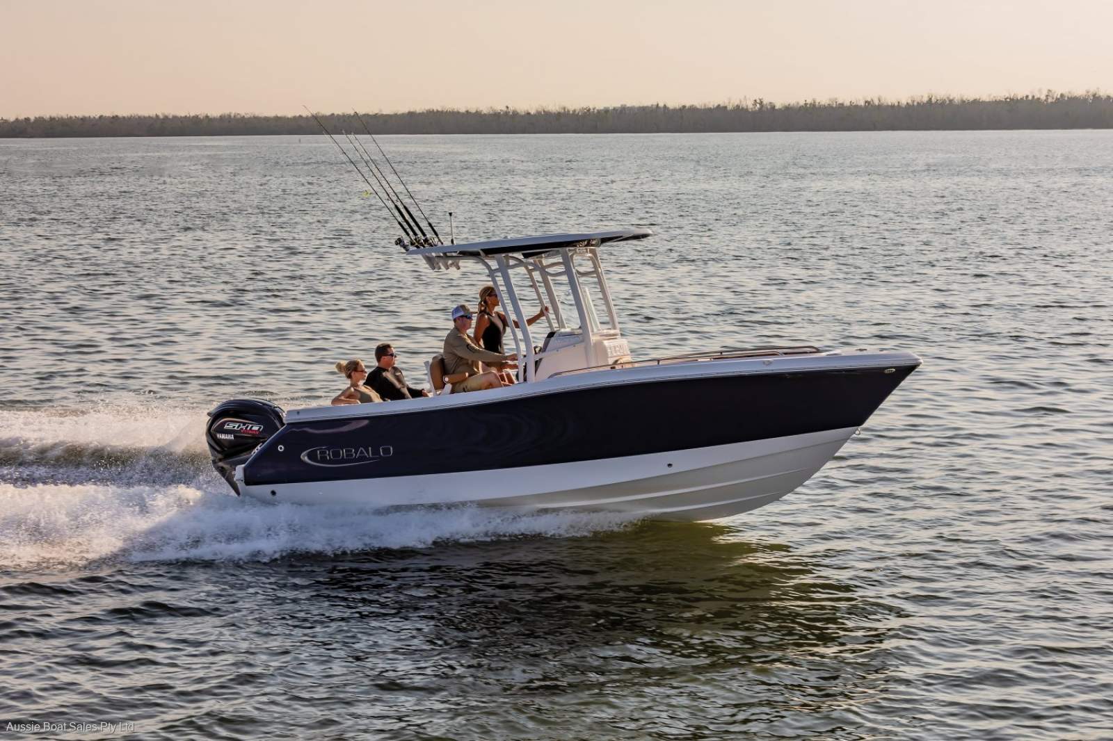 Robalo R230 Centre Console