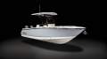 Robalo R250 Centre Console