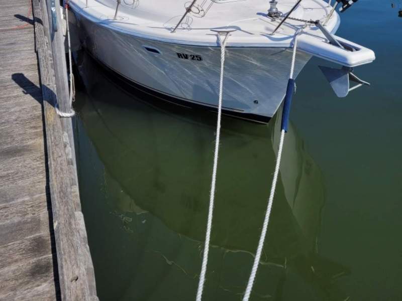 Riviera 3350 Flybridge