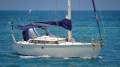 Adams ~ Bluewater 42