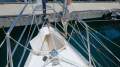 Adams ~ Bluewater 42