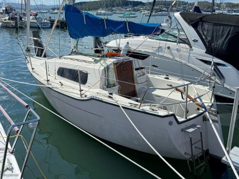 Mystere 25