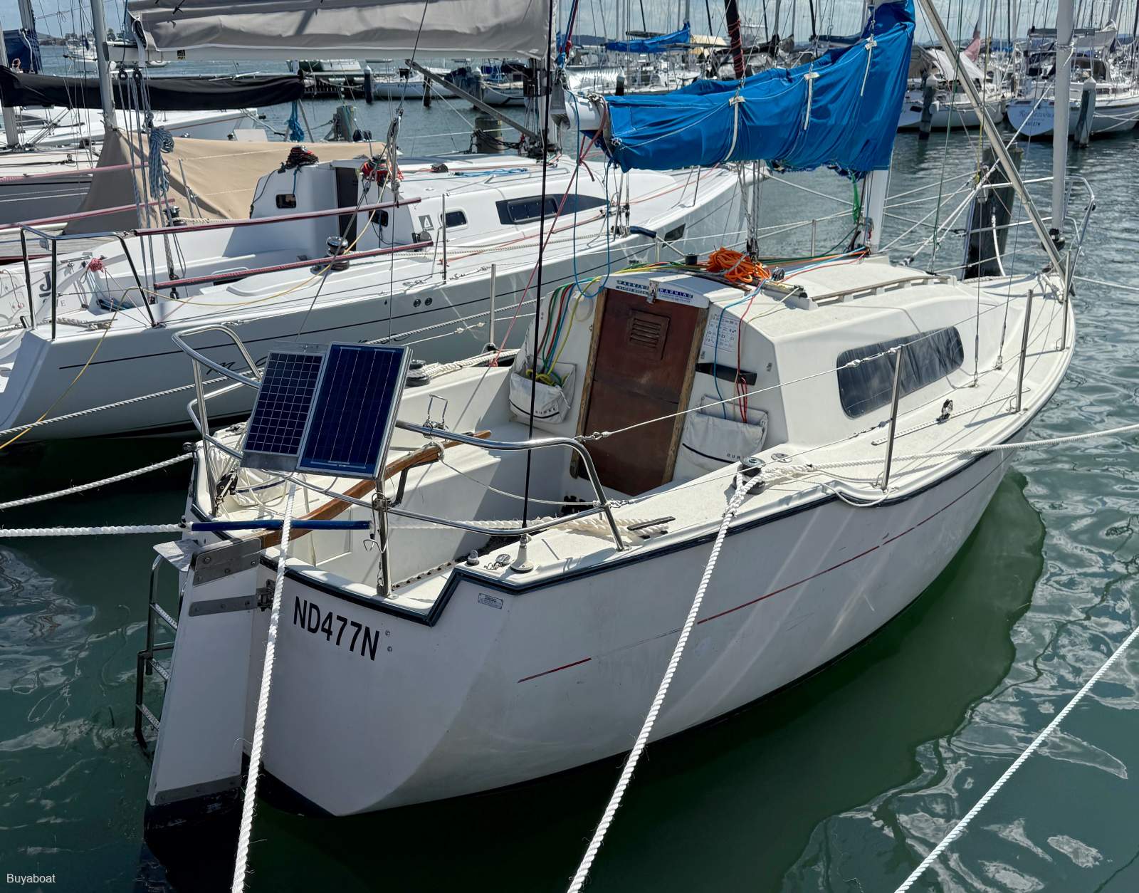Mystere 25