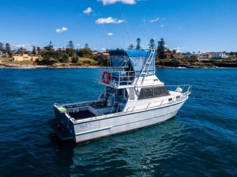 Seatamer 10 m Flybridge Charter Vessel, Aluminium