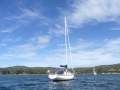 Brolga 33 - many recent upgrades!