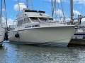 Princess 38 Flybridge