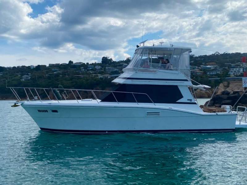 Mariner 3800 Mk Ii