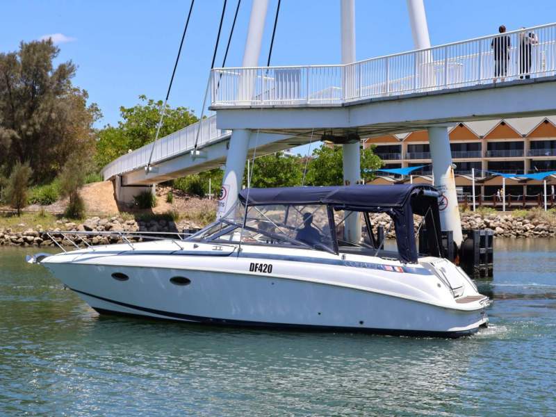 Cobalt 293 Cuddy