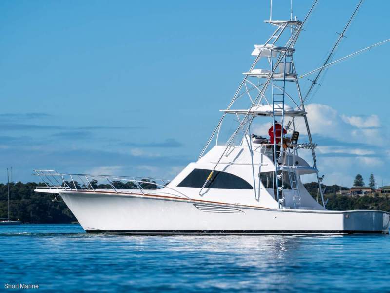 Viking 46 Billfish