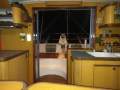 Catana 401