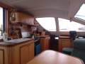 Catana 401