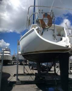 Alan Wright 11M