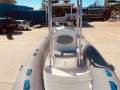 Tiger Marine Proline 550