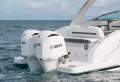 Regal 33 OBX